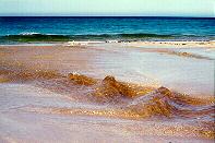 Standing Wave