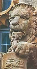 lion