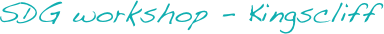 SDG workshop - Kingscliff